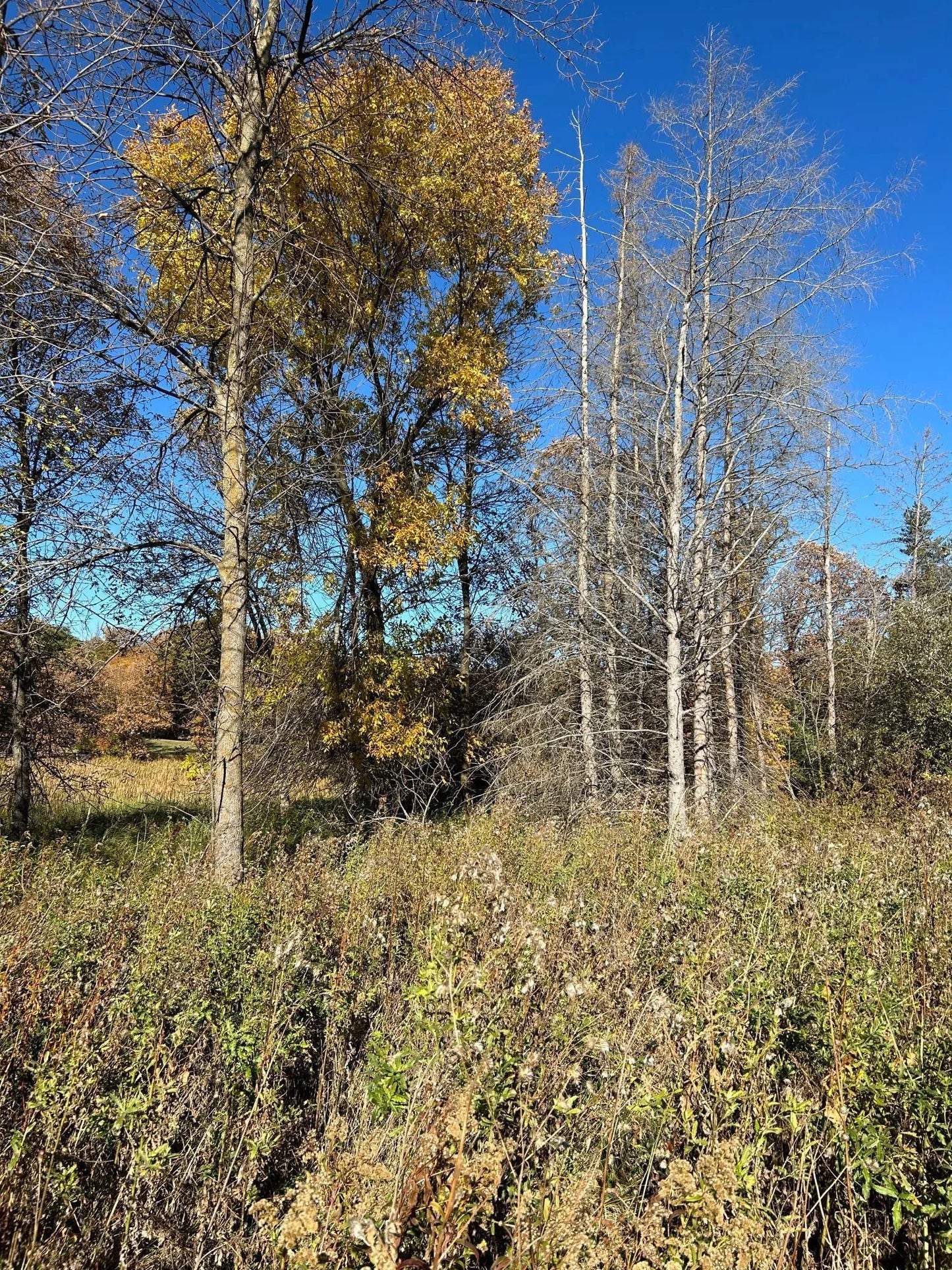 TBD Riverbend Drive, Warroad, MN 56763