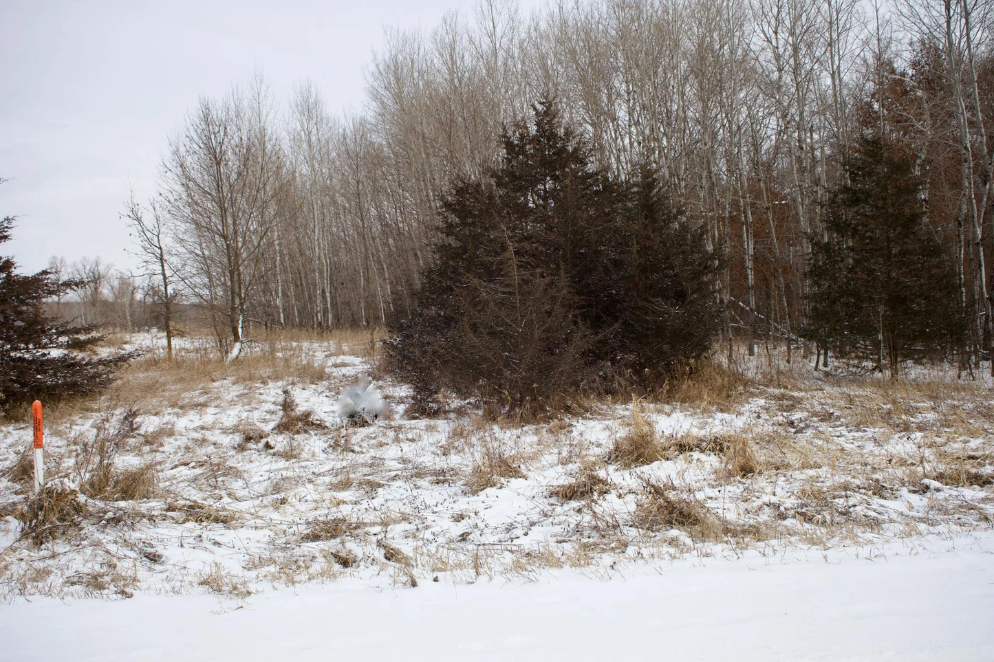 16XXX 4th Avenue, South Haven, MN 55382