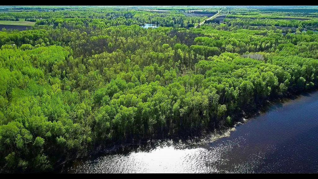 Lot 11 - TBD Driftwood Lane, Baudette, MN 56623