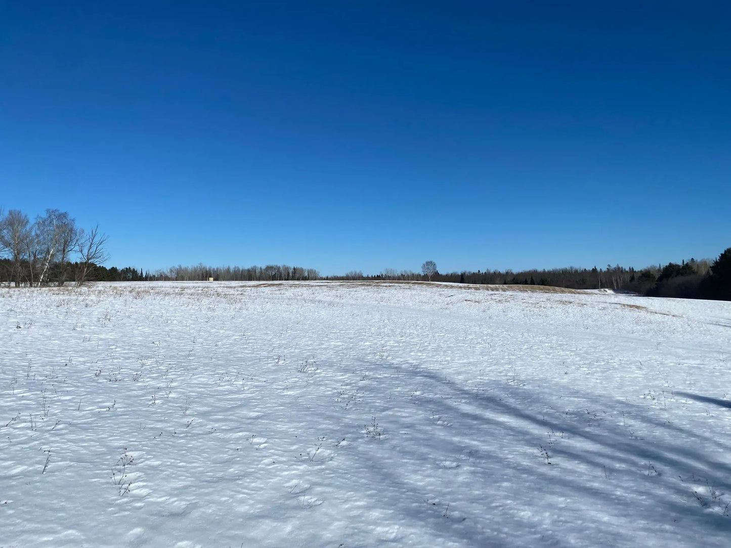 7199 Clover Rd. , Virginia, MN 55792