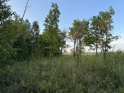 (LOT 3) TBD Rock Lake Road, Rochert, MN 56578