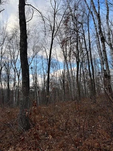 77 Acres Wickline Lane, Crosslake, MN 56442