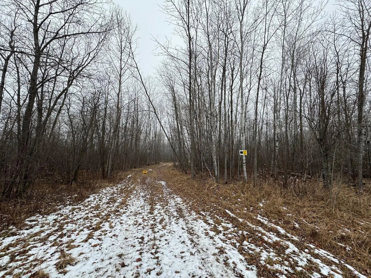 80+ acres Willow Creek Road, Kelliher, MN 56650