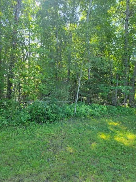 Lot 7 - TBD Driftwood Lane, Baudette, MN 56623