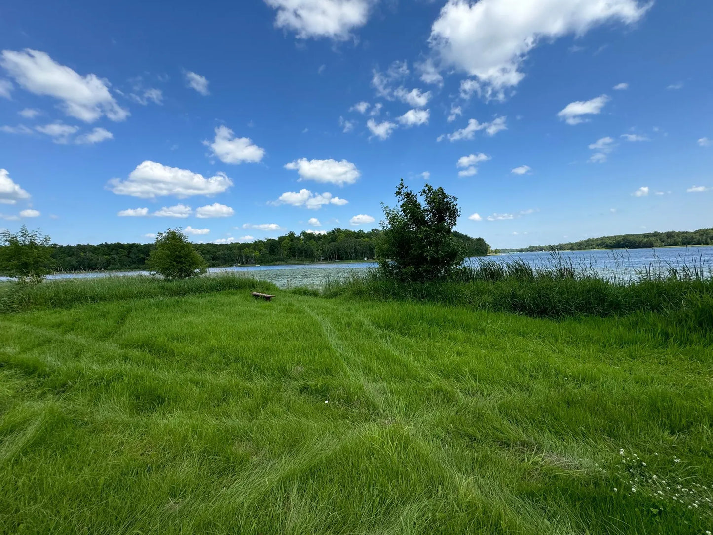 289XX Buffalo Lake Rd D , Callaway, MN 56521