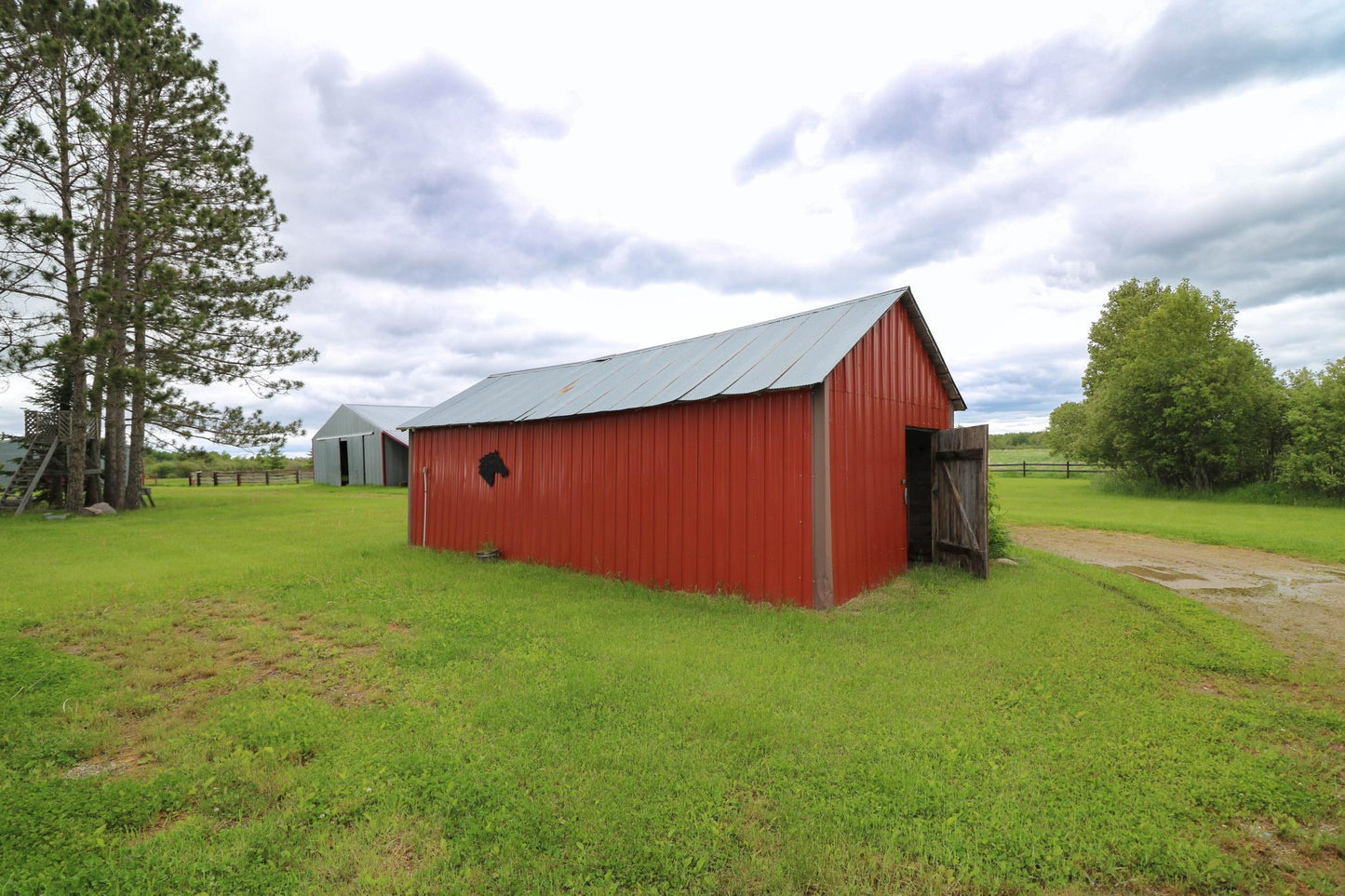 11122 County Road 12 , Mizpah, MN 56660