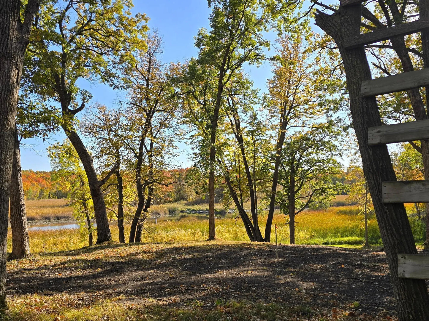 Tract H Blybergs Lane , Pelican Rapids, MN 56572