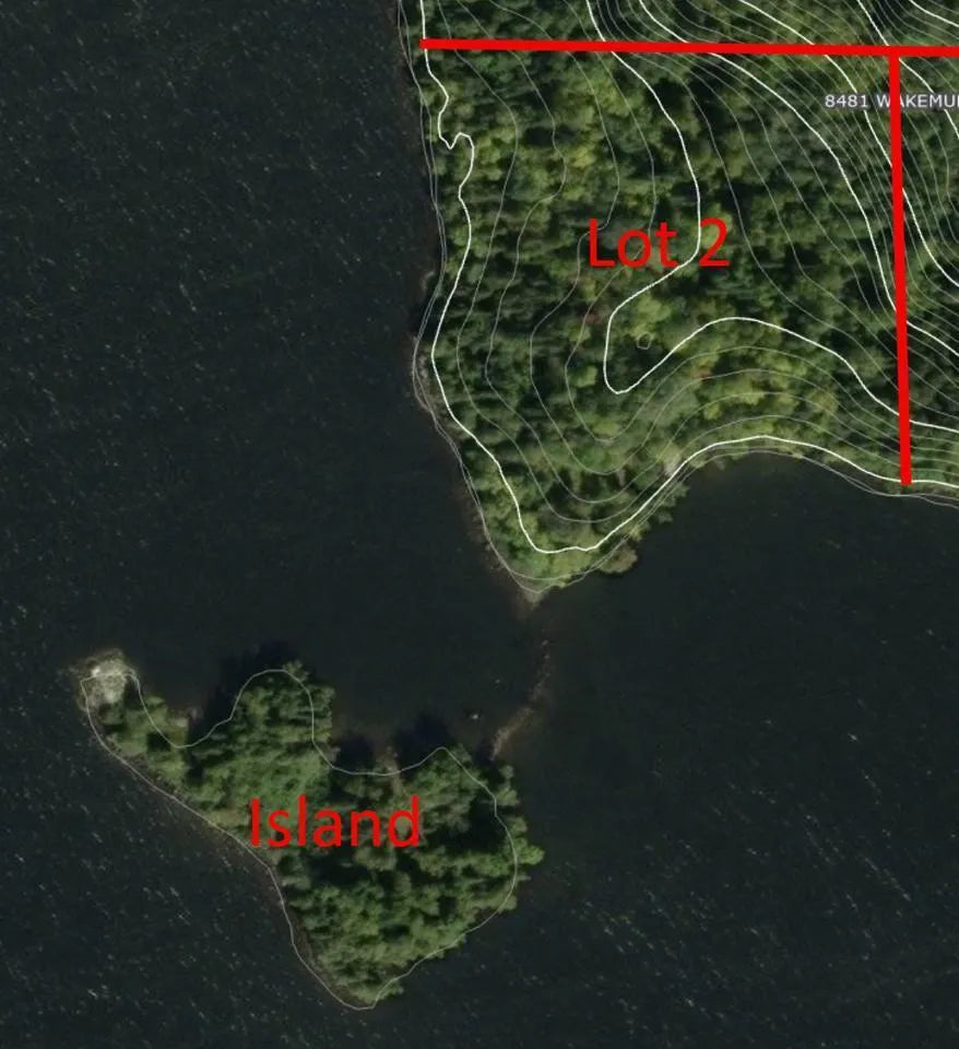 Lot 2 & Private Island Wakemup Narrows , Beatty Twp, MN 55771