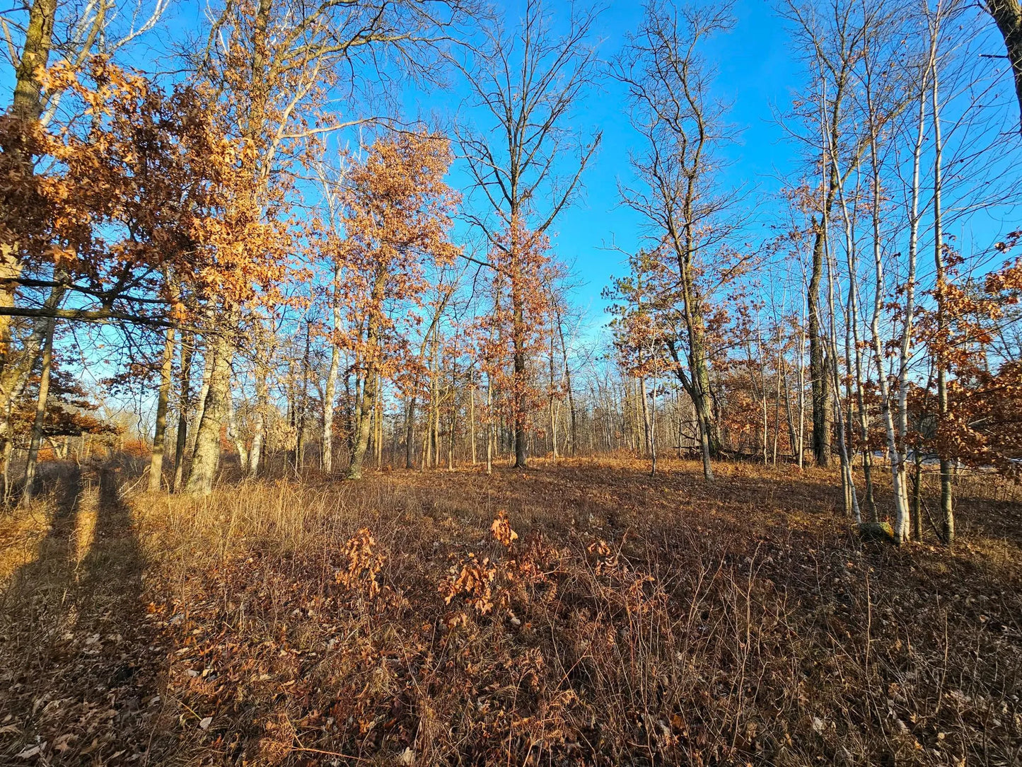 L6B4 Settler Trail , Merrifield, MN 56465