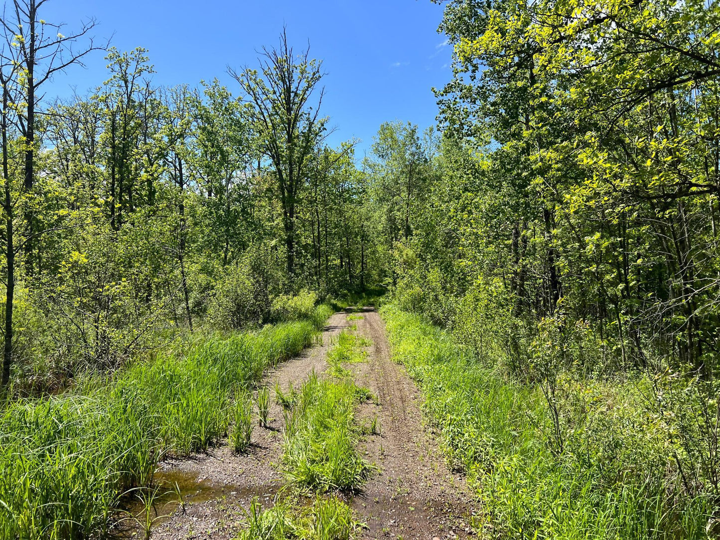 XXX Woods Road, Isle, MN 56342