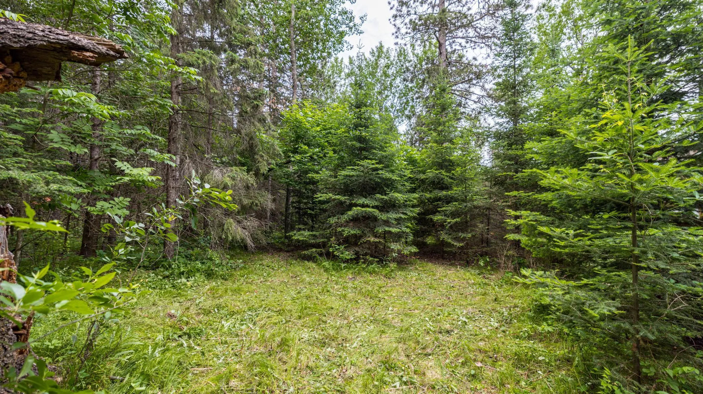 11187 Far Portage Drive, Park Rapids, MN 56470