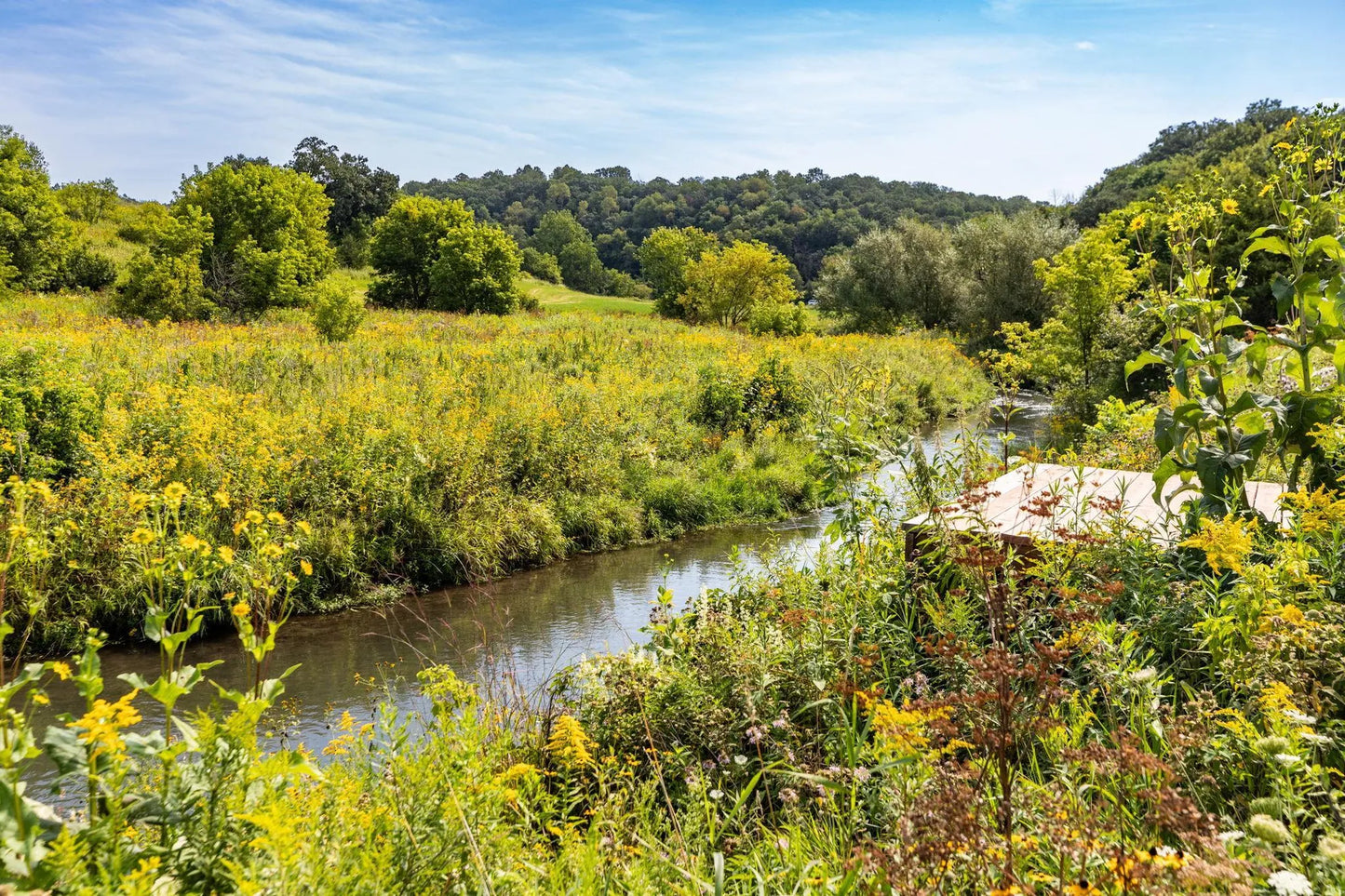 TBD County 8 , Spring Grove Twp, MN 55954