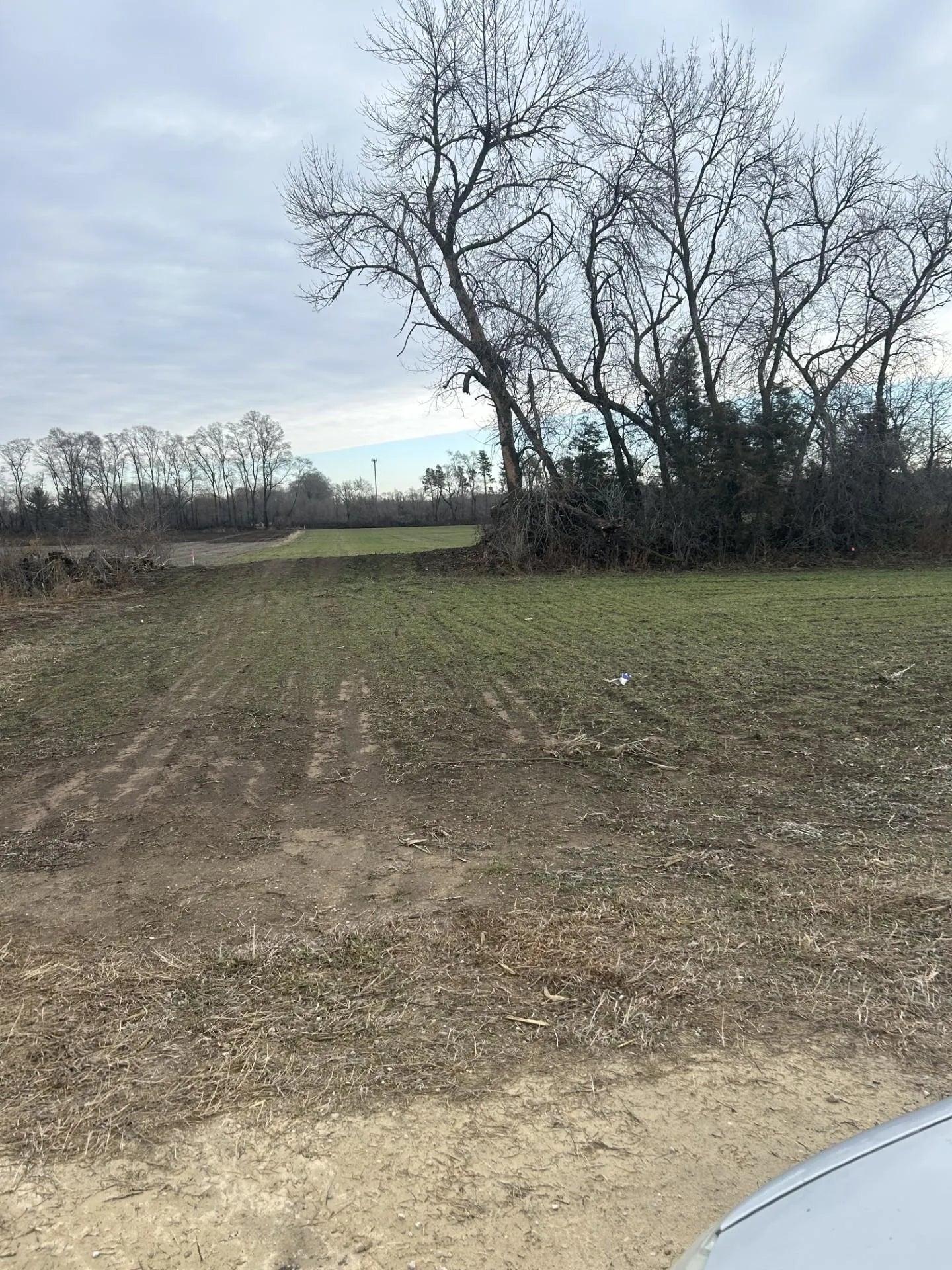 Lot 1 Orlando Avenue, Ravenna Twp, MN 55033