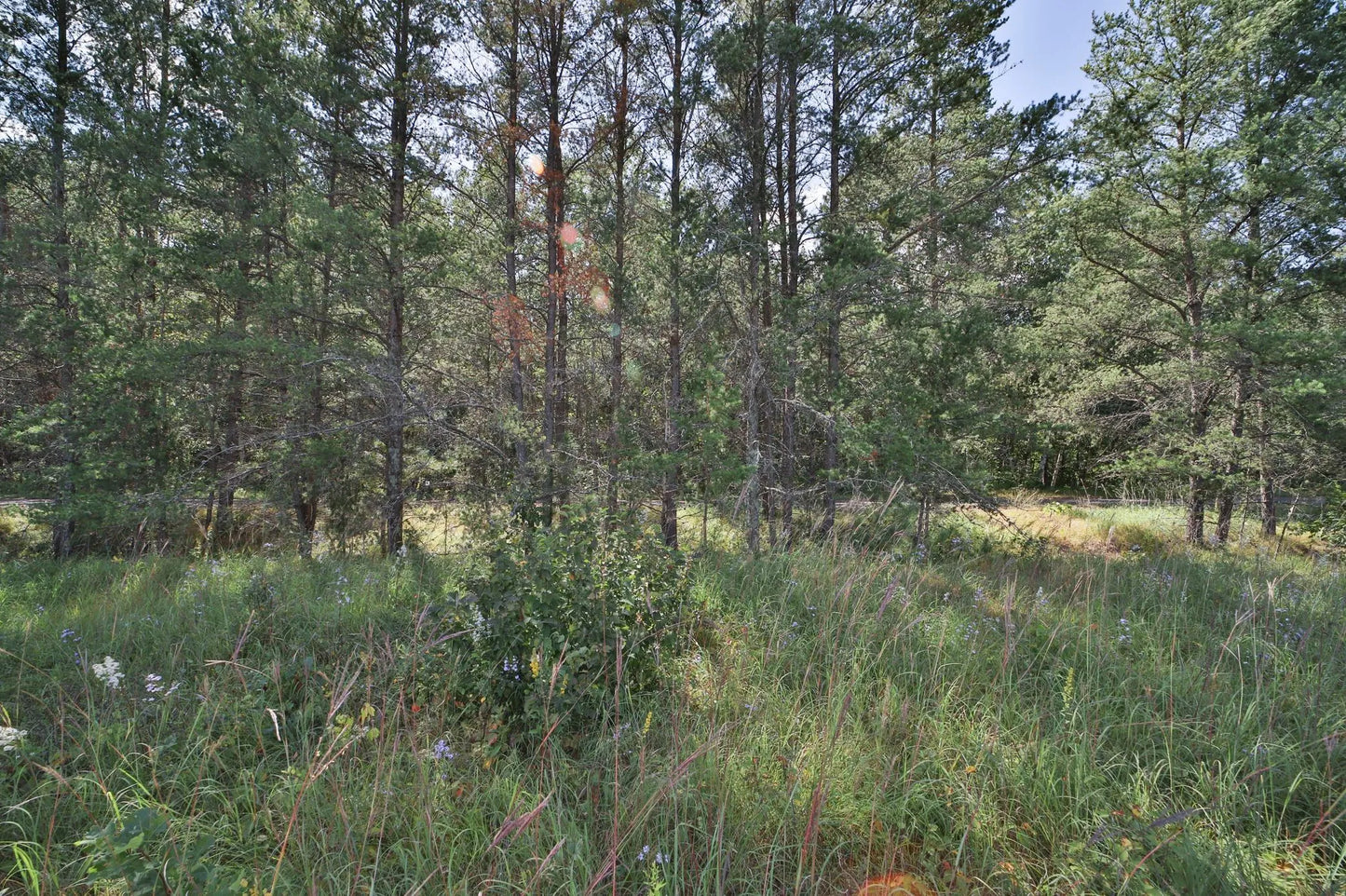 5.02 AC HWY 371 , Pine River, MN 56472