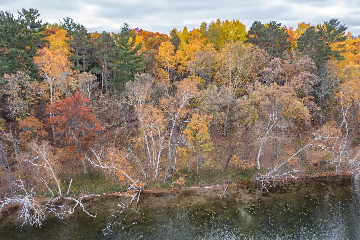 TBD Strawberry Lake Road, Pequot Lakes, MN 56472