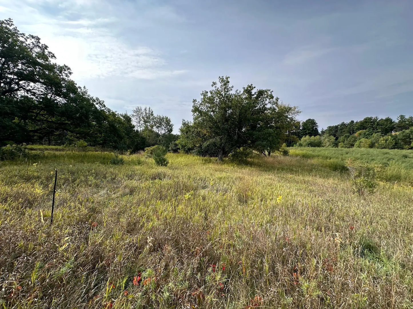 15XXX Oakhill Road, Scandia, MN 55073
