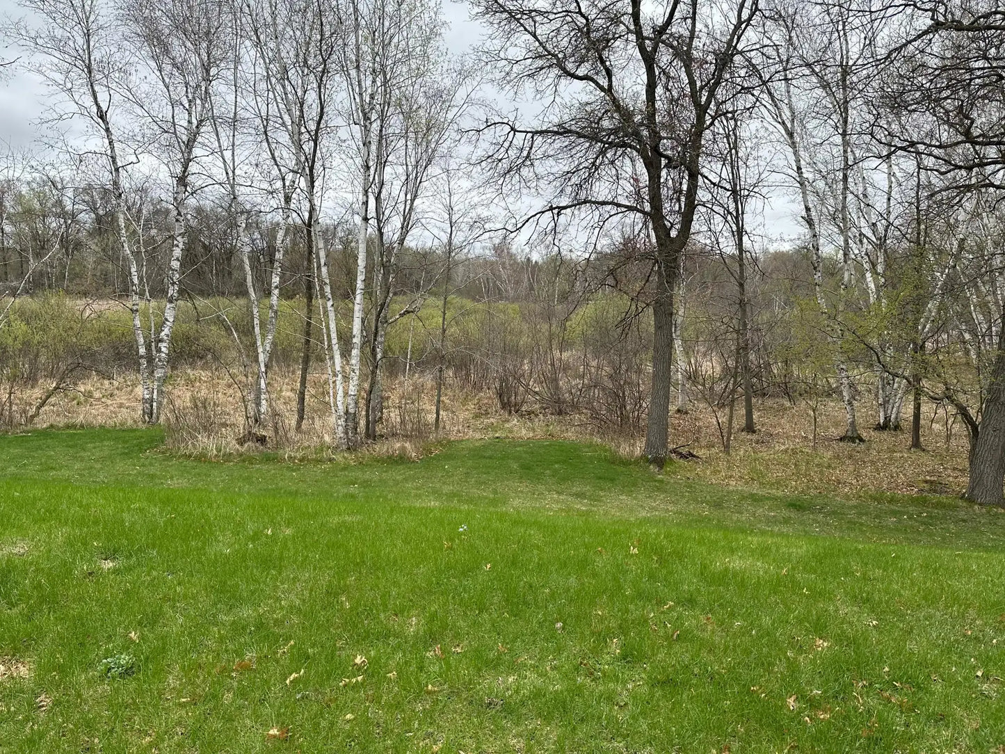 14101 202nd Avenue, Elk River, MN 55330
