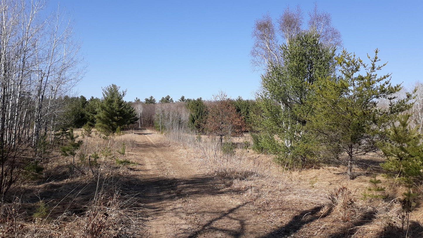 xxx Pacer Loop , Fawn Lake Twp, MN 56438