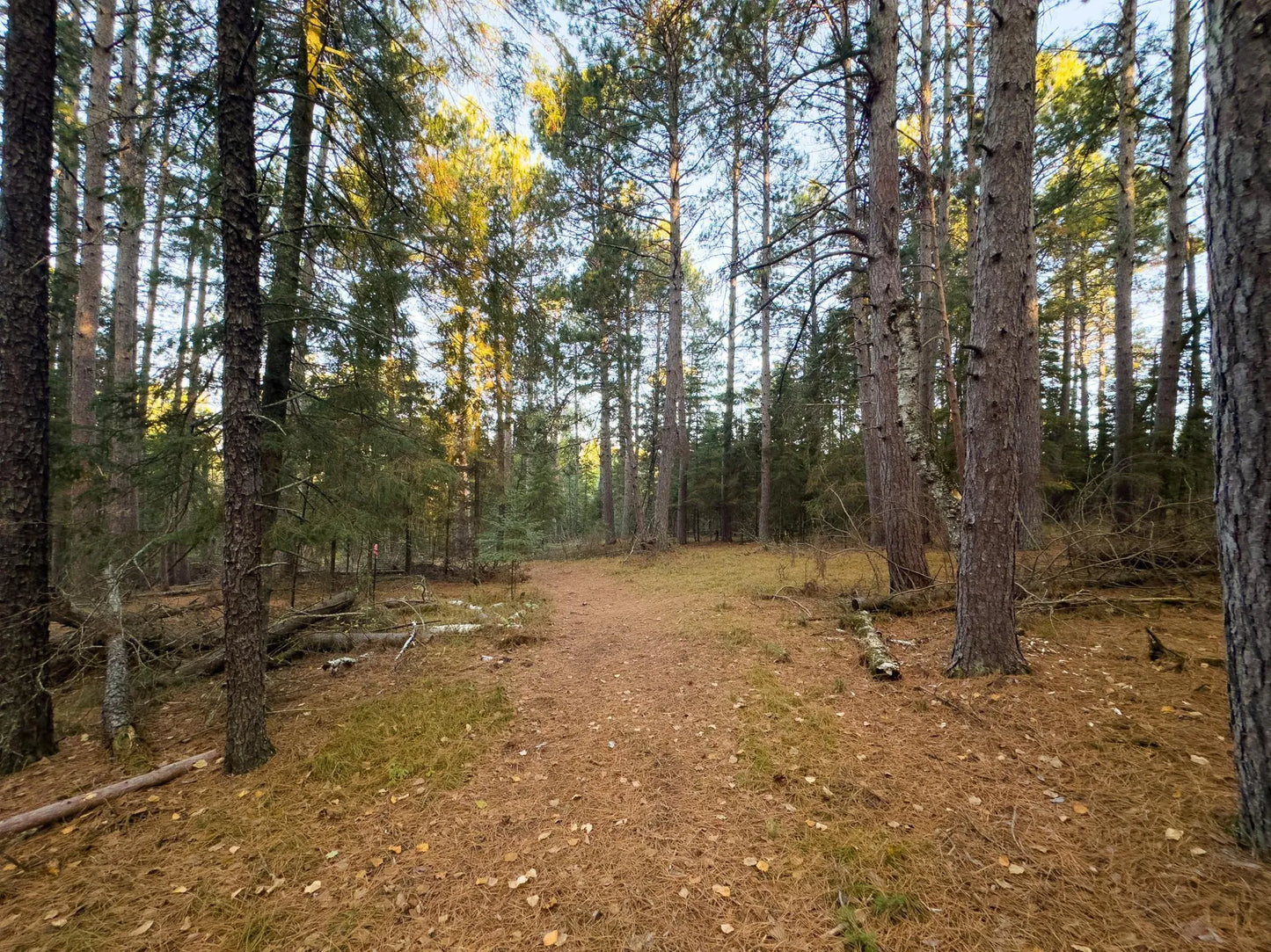 13895 Gazelle Trail, Park Rapids, MN 56470