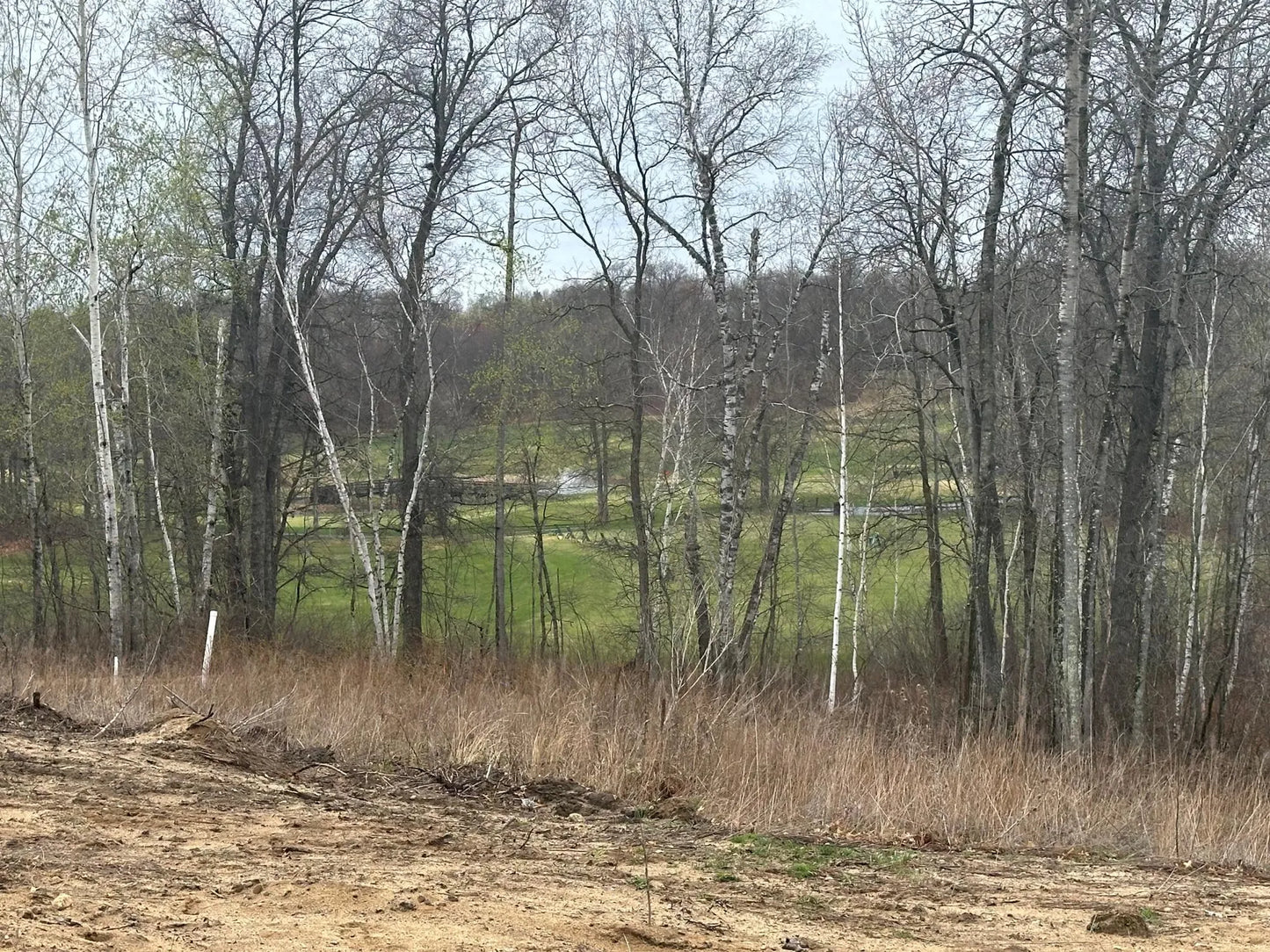 Lot 1 Little Walnut Lane, Pequot Lakes, MN 56338