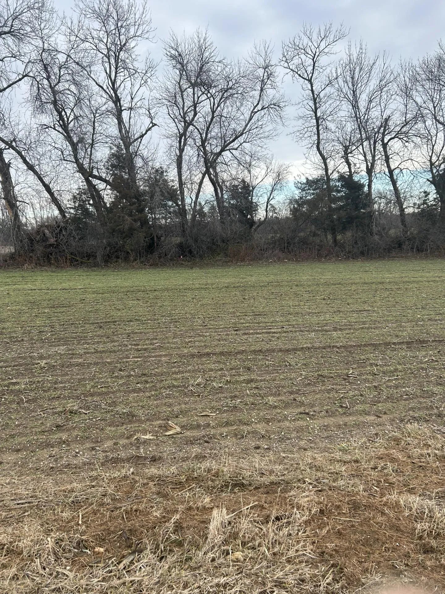 Lot 1 Orlando Avenue, Ravenna Twp, MN 55033