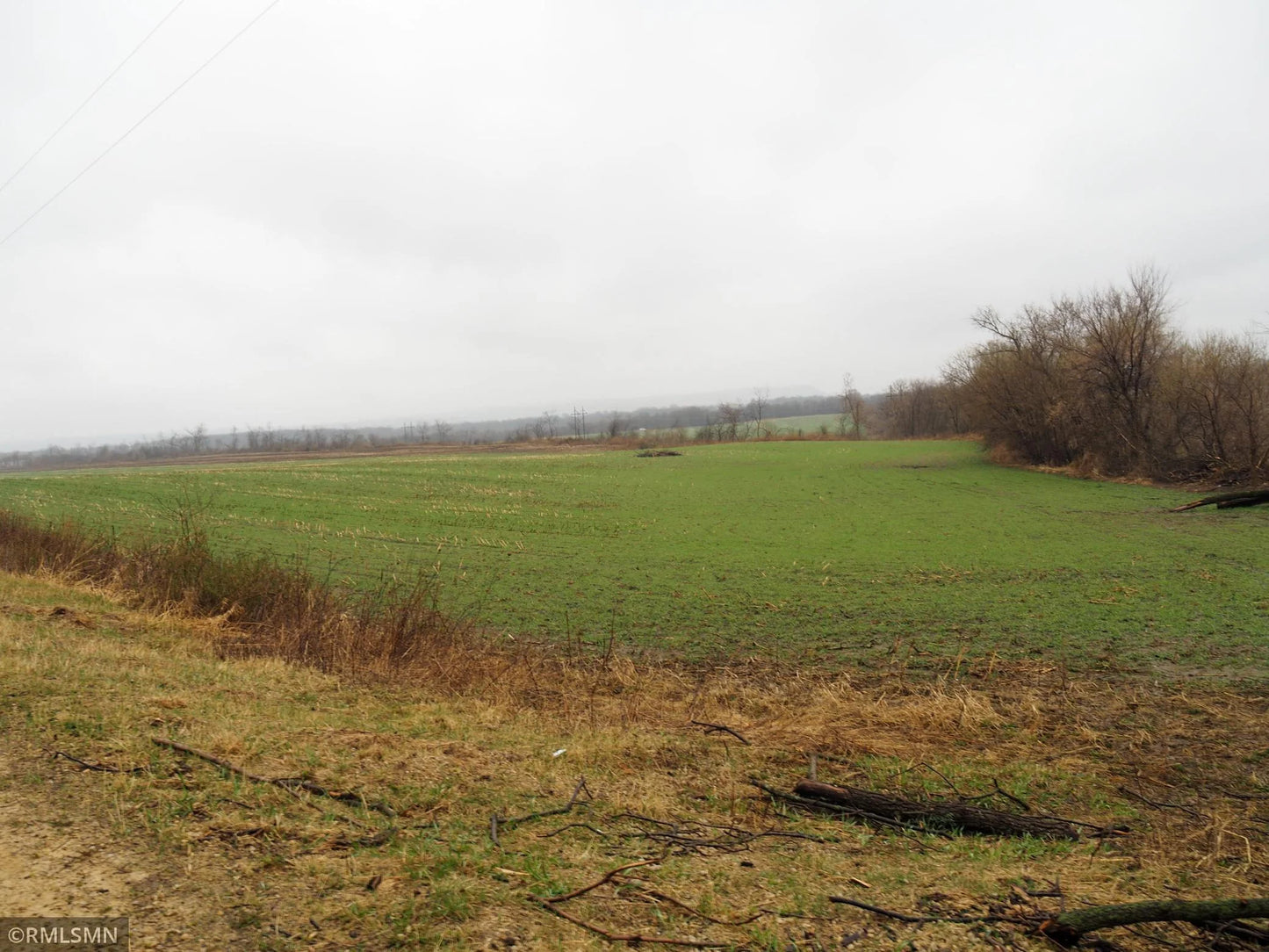 xxxx Territorial Road Trail, Florence Twp, MN 55041