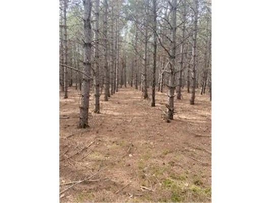 LOT 5 Fawn Lake Road, Breezy Point, MN 56442