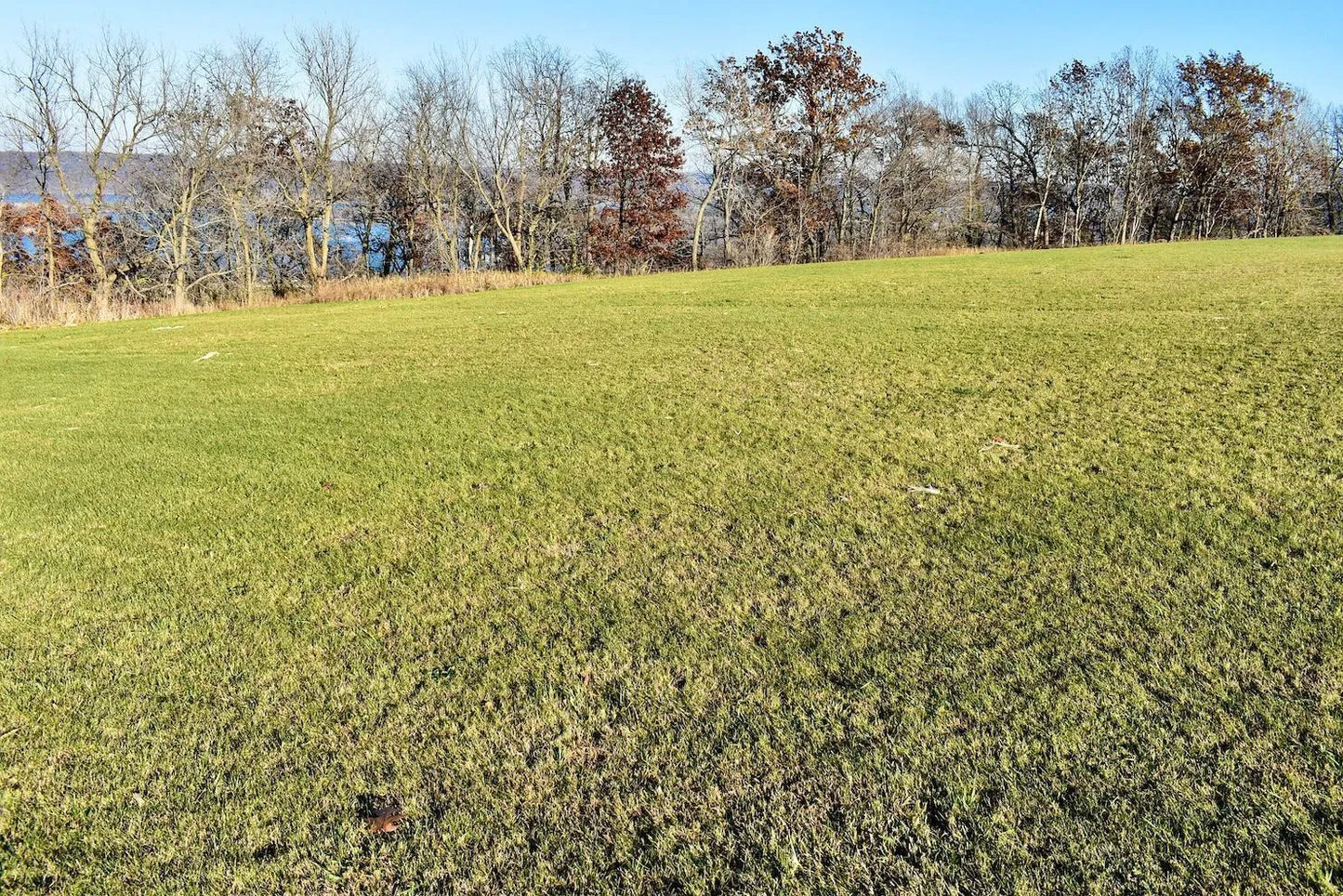 Lot 9 177th Avenue , Wabasha, MN 55981