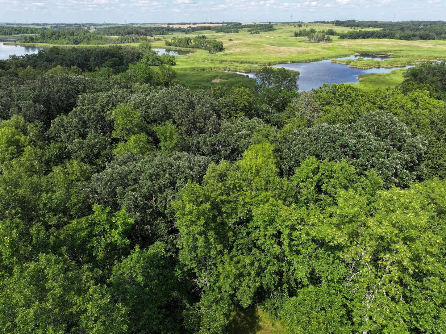 12475 Thunselle Road, Dalton, MN 56324