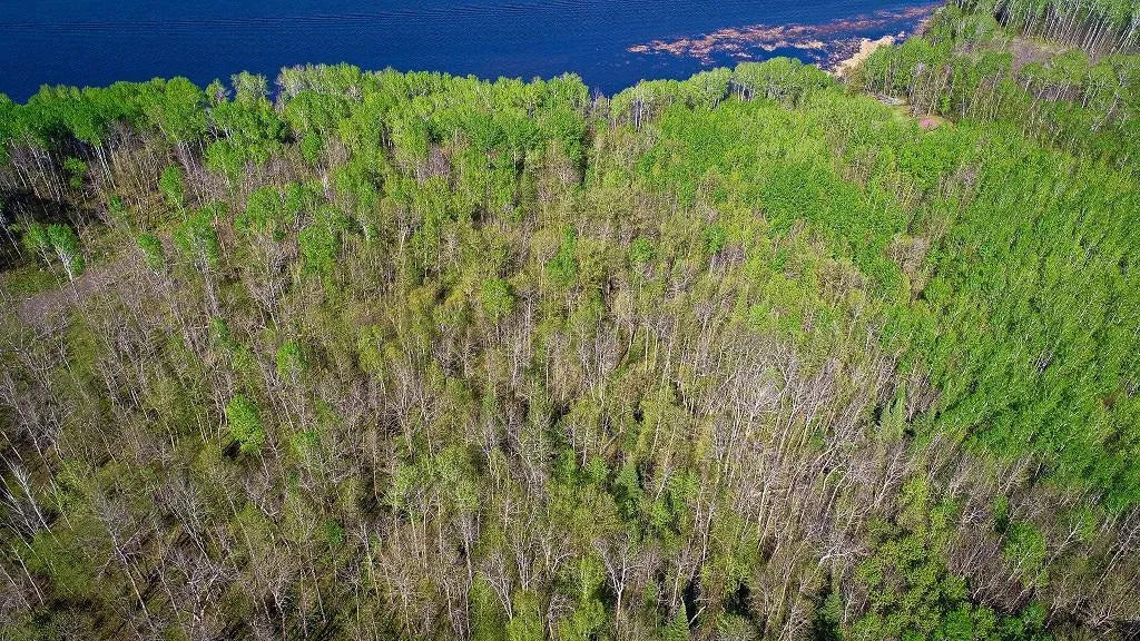 Lot 12 - TBD Driftwood Lane, Baudette, MN 56623