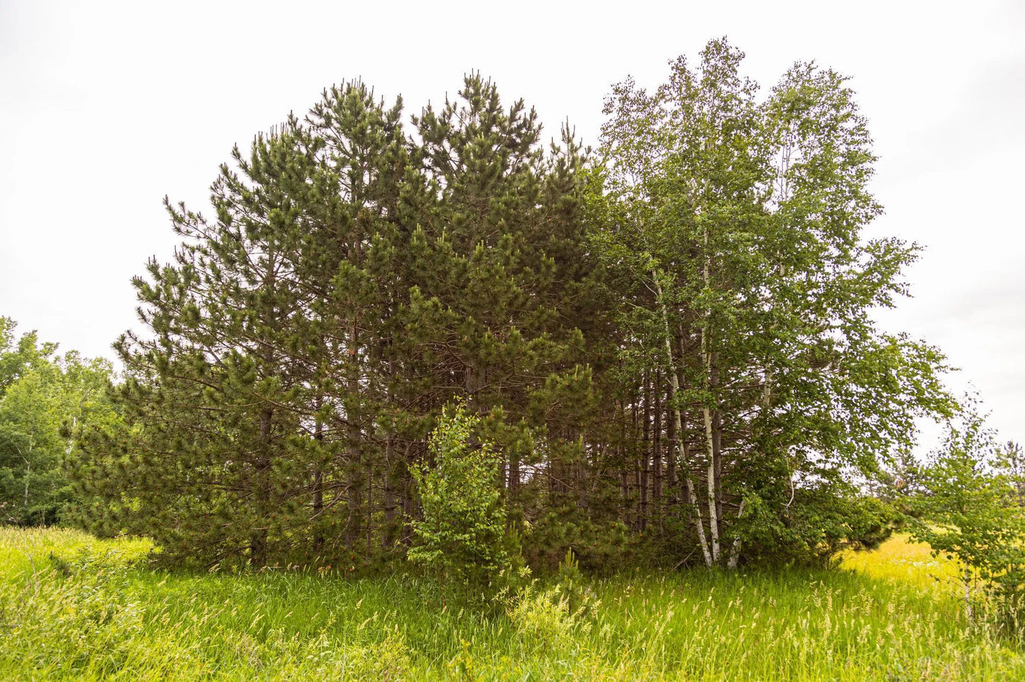 Block 1, Lot 2 Mid-River Estates, Pokegama Twp, MN 55063