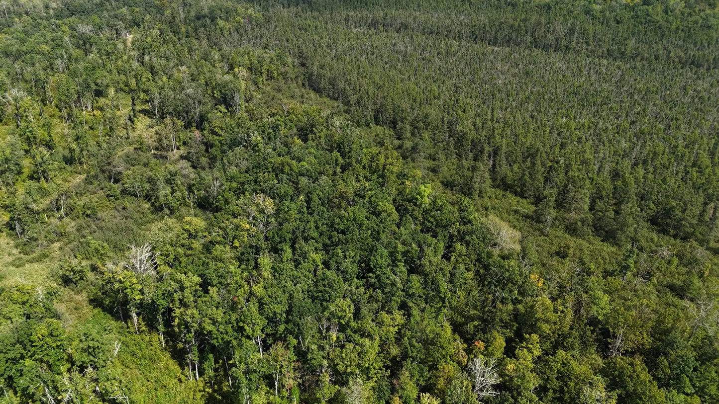 TBD Rainbow Trout Trail , Sandstone, MN 55072