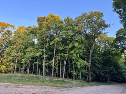 (LOT A) TBD Rock Lake Road, Rochert, MN 56578