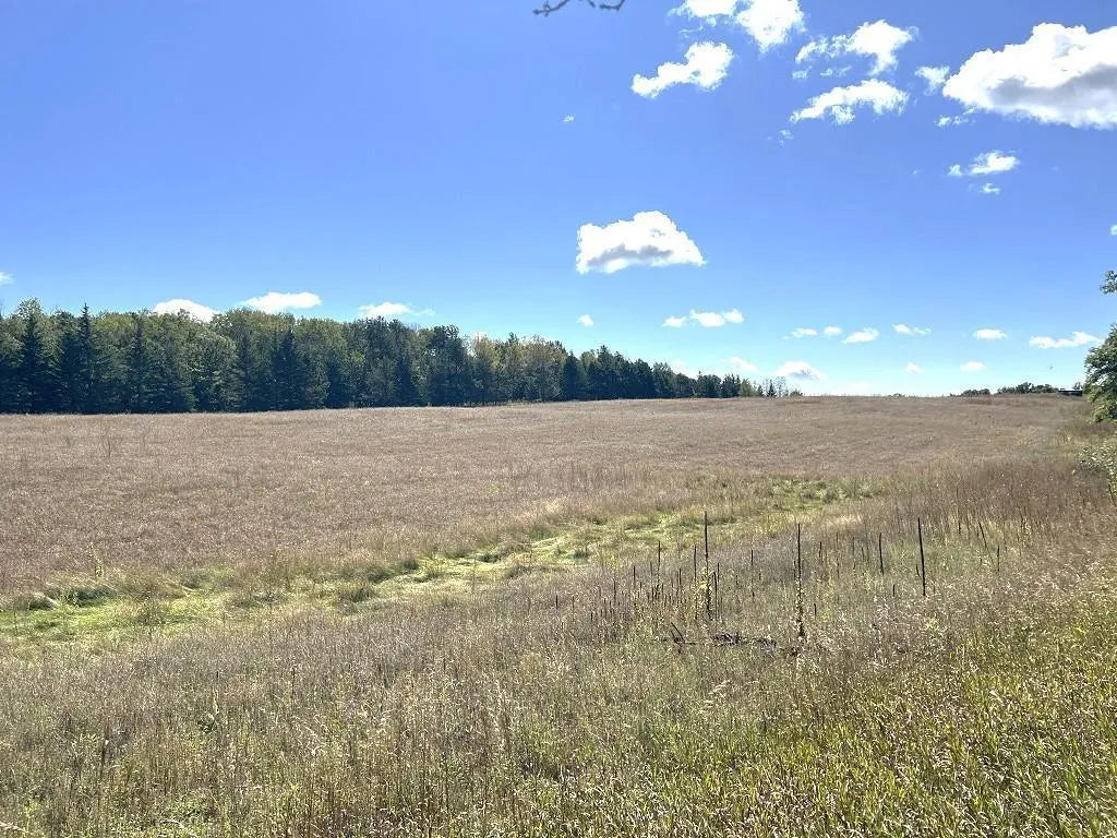 16051 Crown Point Road, Nevis, MN 56467