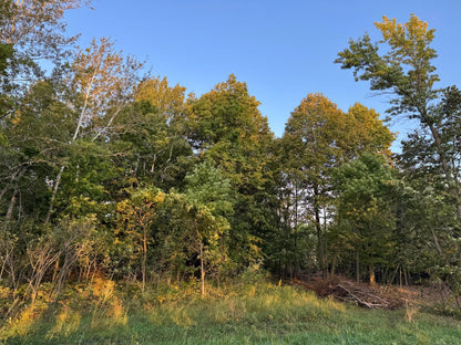 (LOT B) TBD Rock Lake Road, Rochert, MN 56578