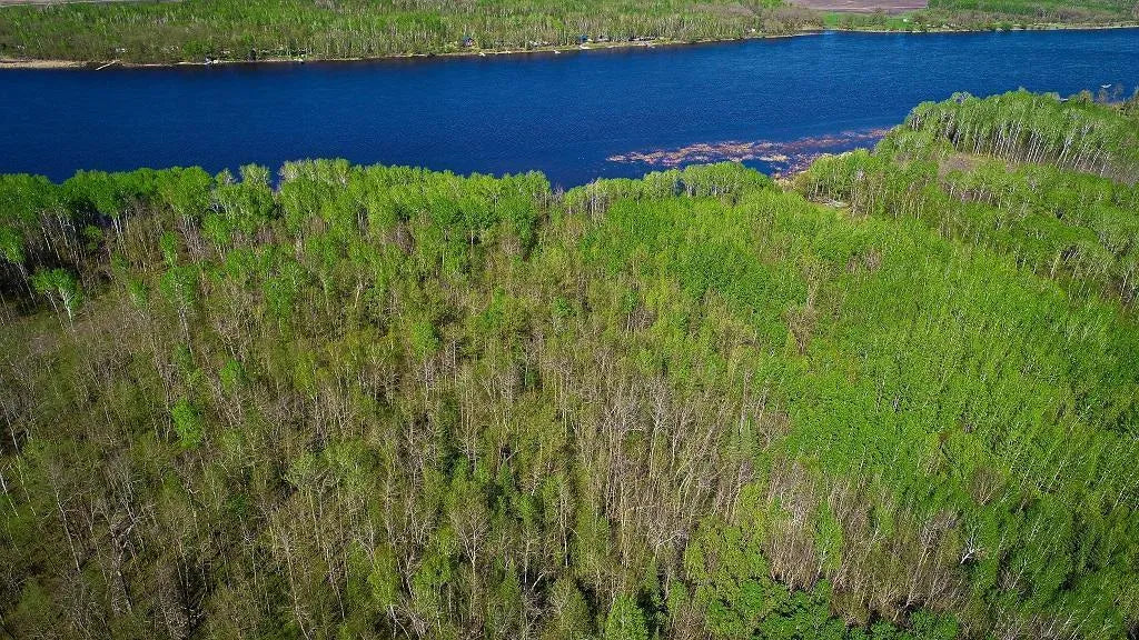 Lot 12 - TBD Driftwood Lane, Baudette, MN 56623