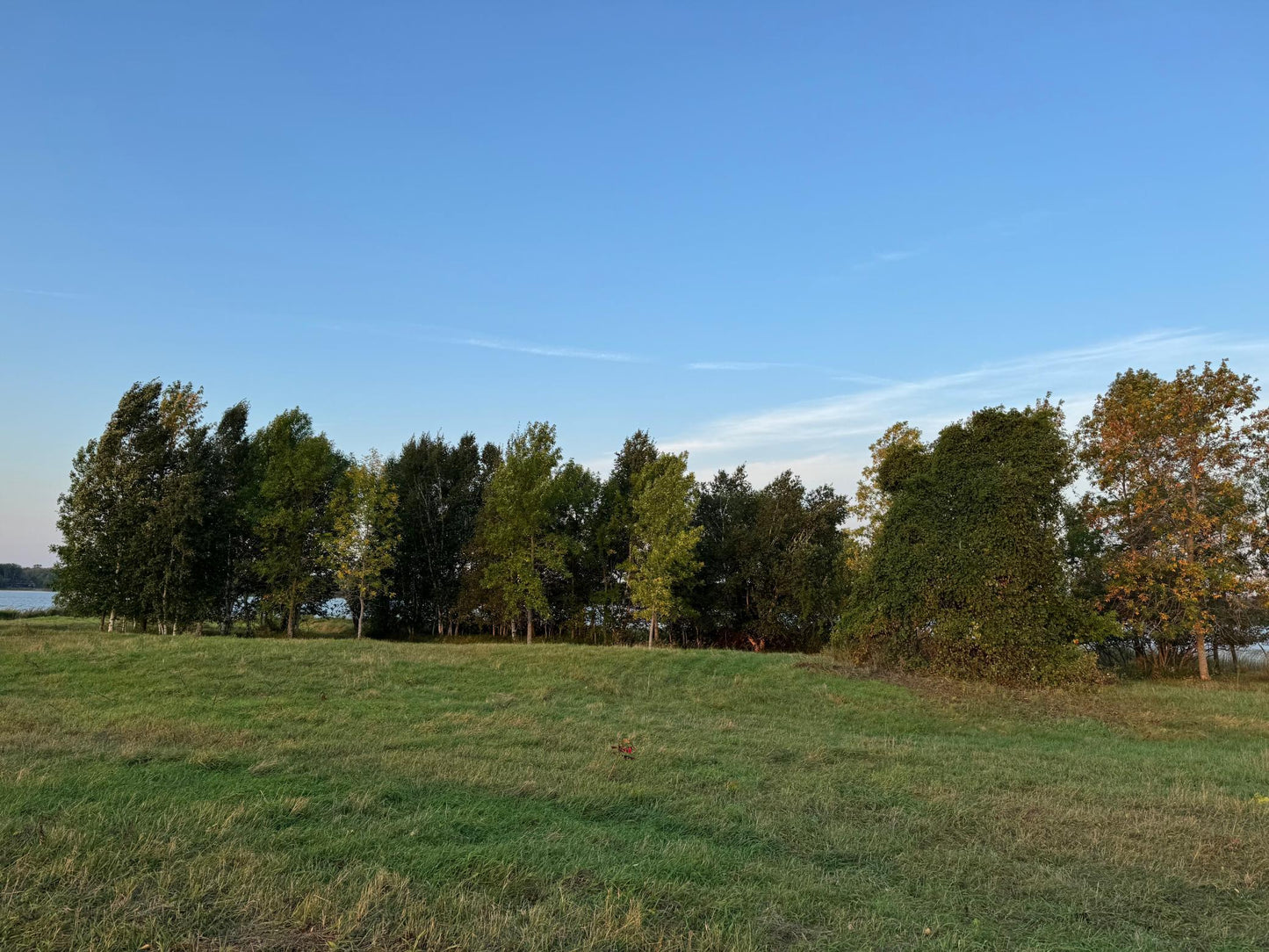 (LOT D) TBD Rock Lake Road, Rochert, MN 56578