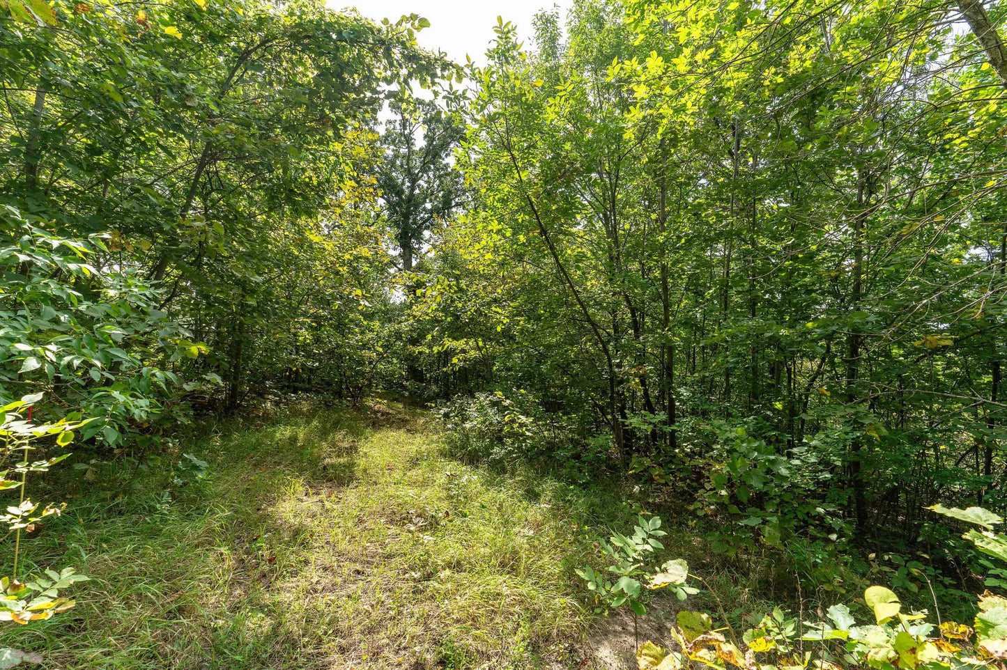 Lot D 202nd Avenue, Fergus Falls, MN 56537