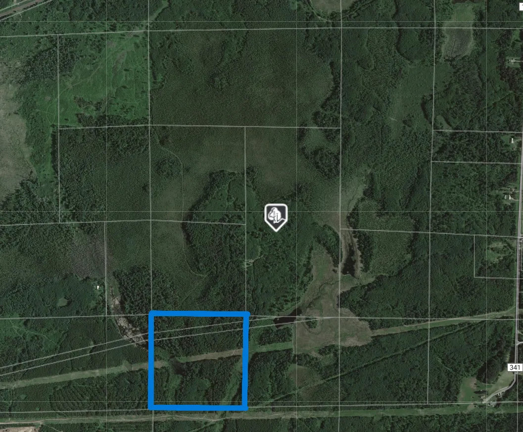 XXXXX Stepetz Road, White Twp, MN 55705