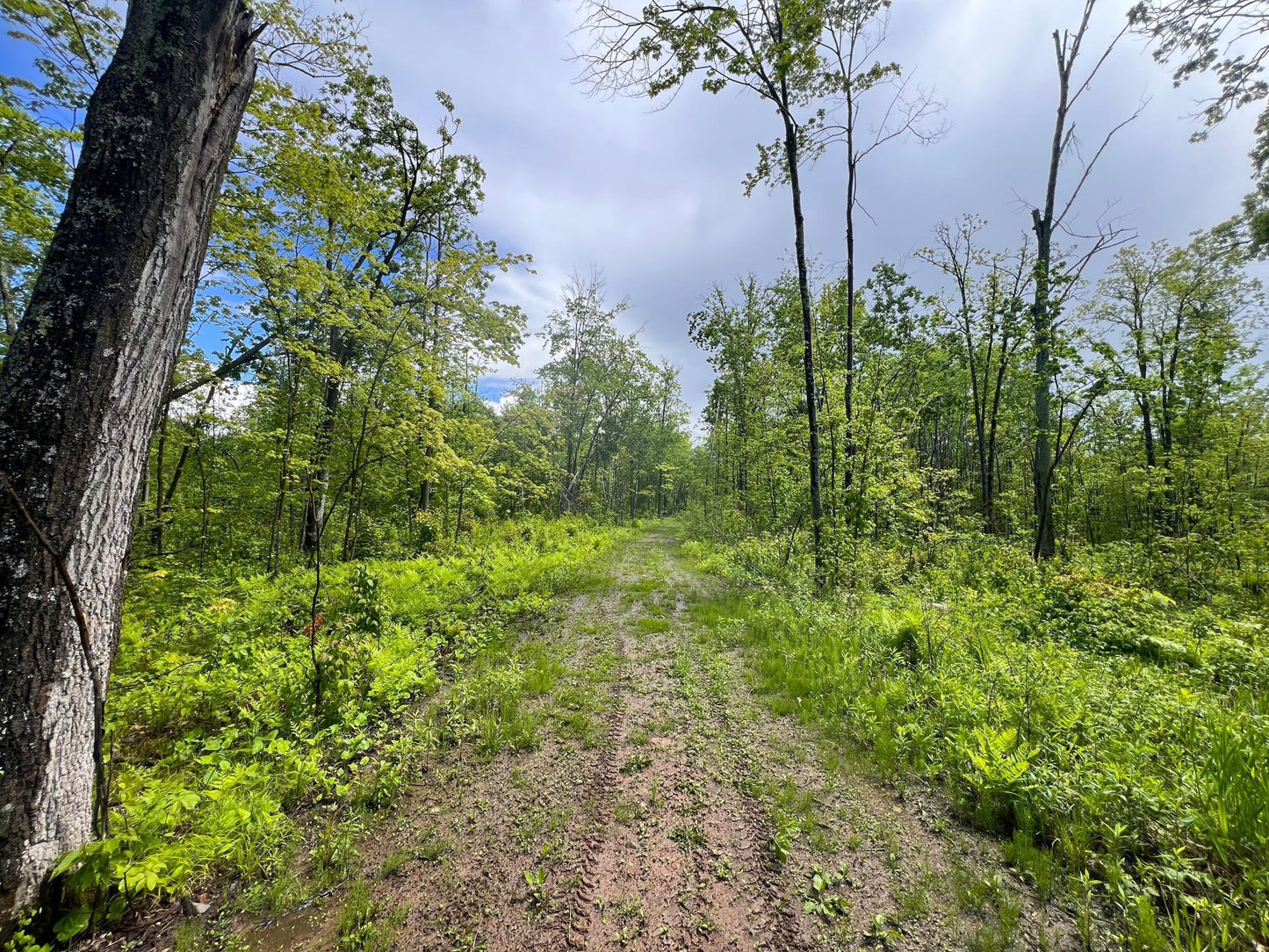 XXX Woods Road, Isle, MN 56342