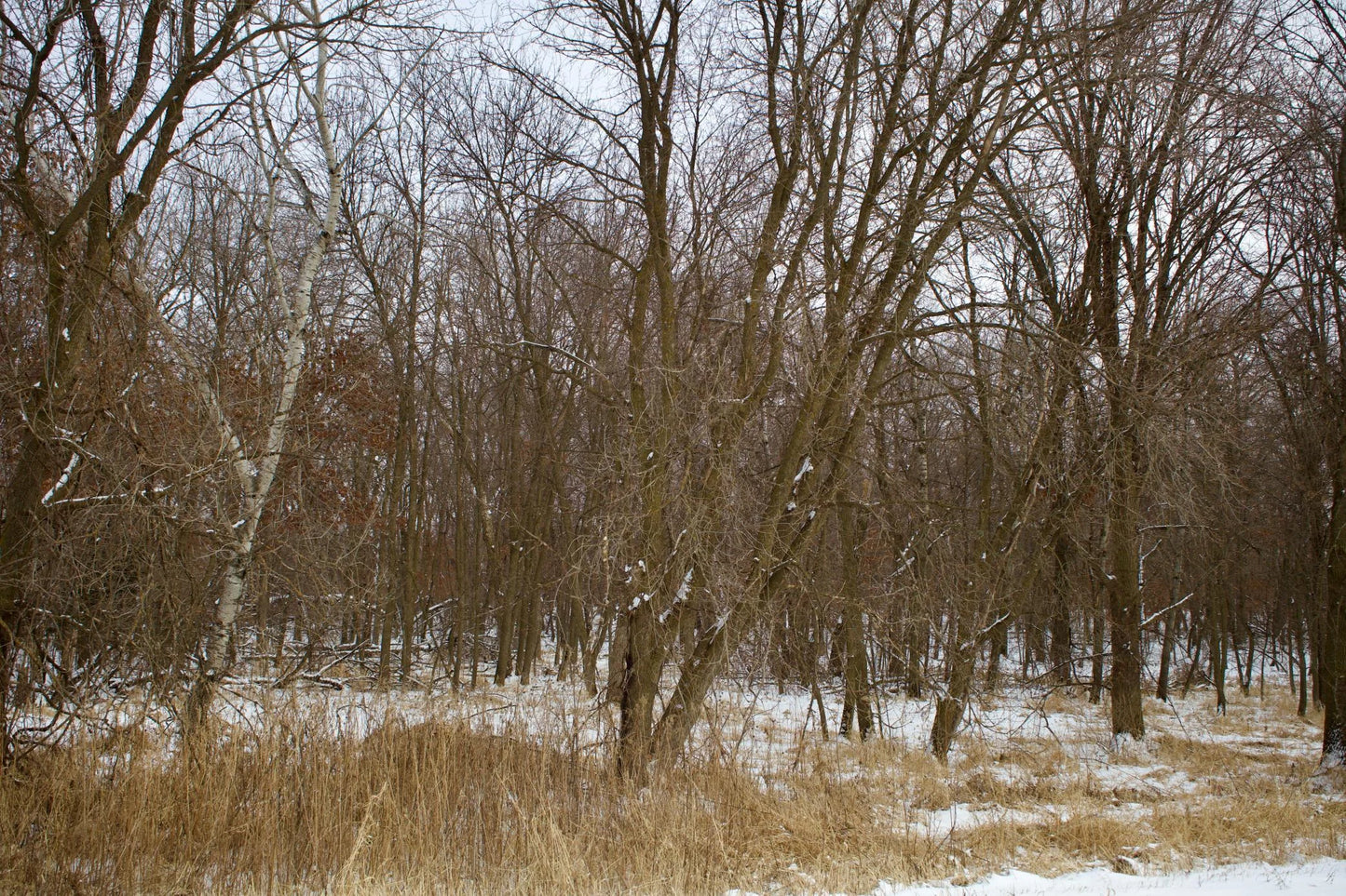 16XXX 4th Avenue, South Haven, MN 55382