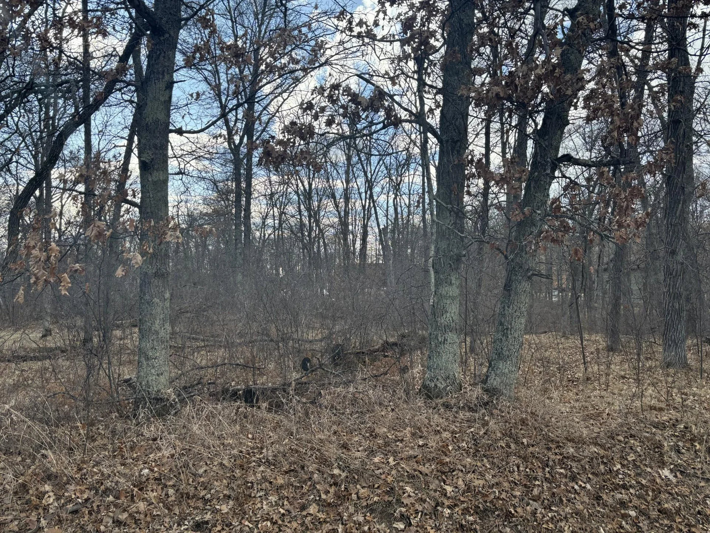 12612 County Rd 103 Road, Crosslake, MN 56442