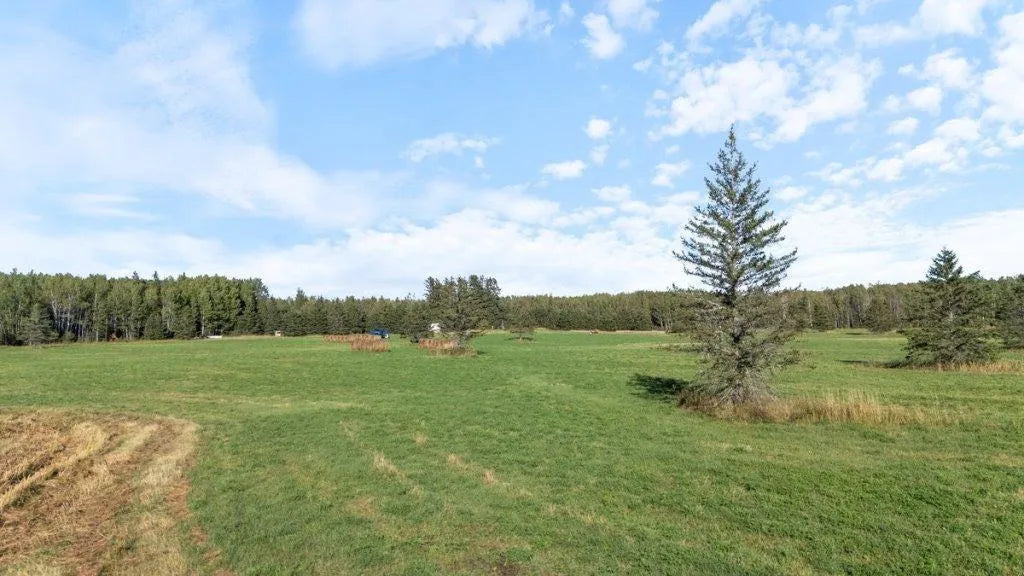 1661 County Road 19 , Orr, MN 55771