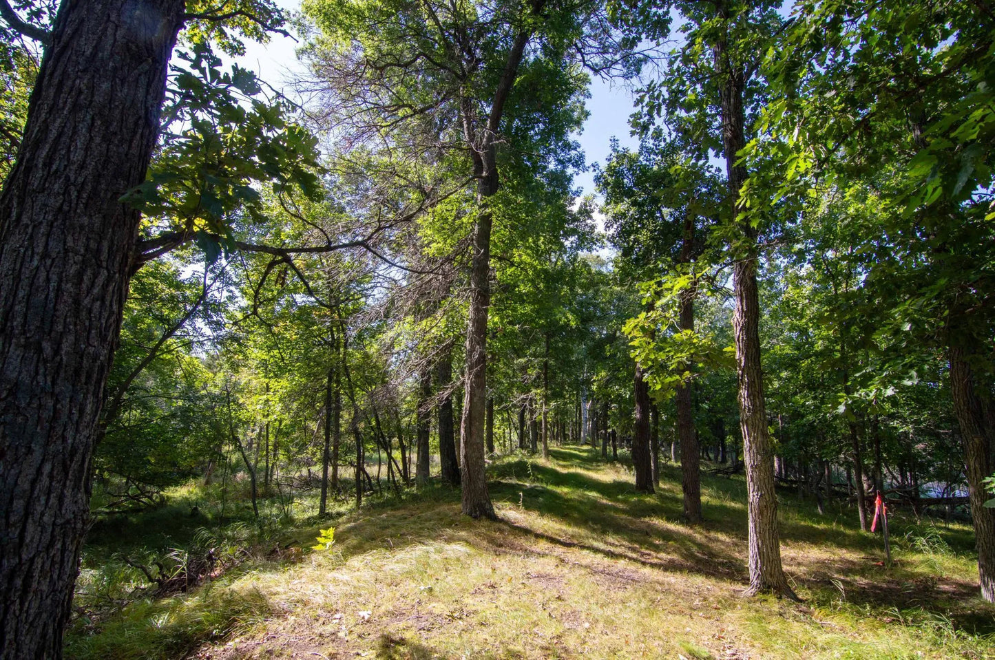 TBD Deacons Way, Pequot Lakes, MN 56472