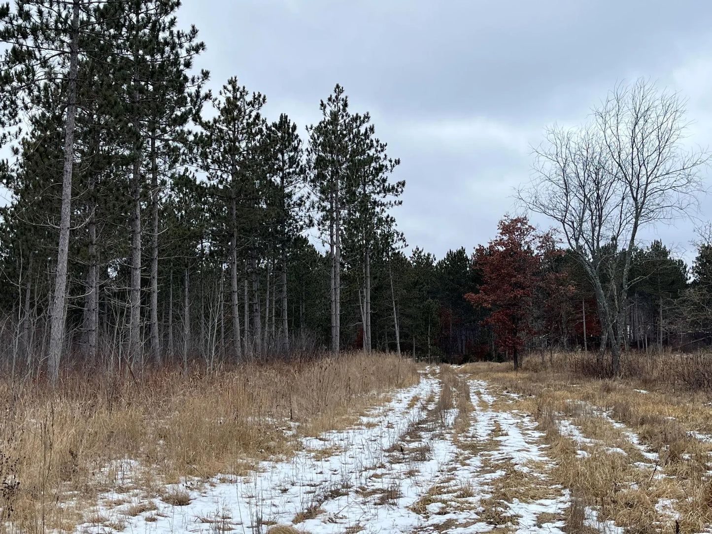 31455 Nagel Road, Pequot Lakes, MN 56472