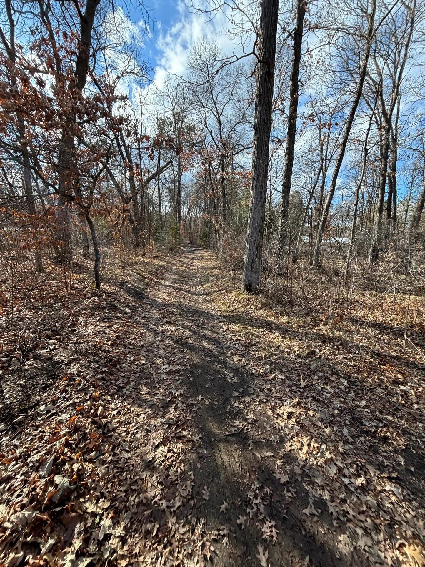 12612 County Rd 103 Road, Crosslake, MN 56442