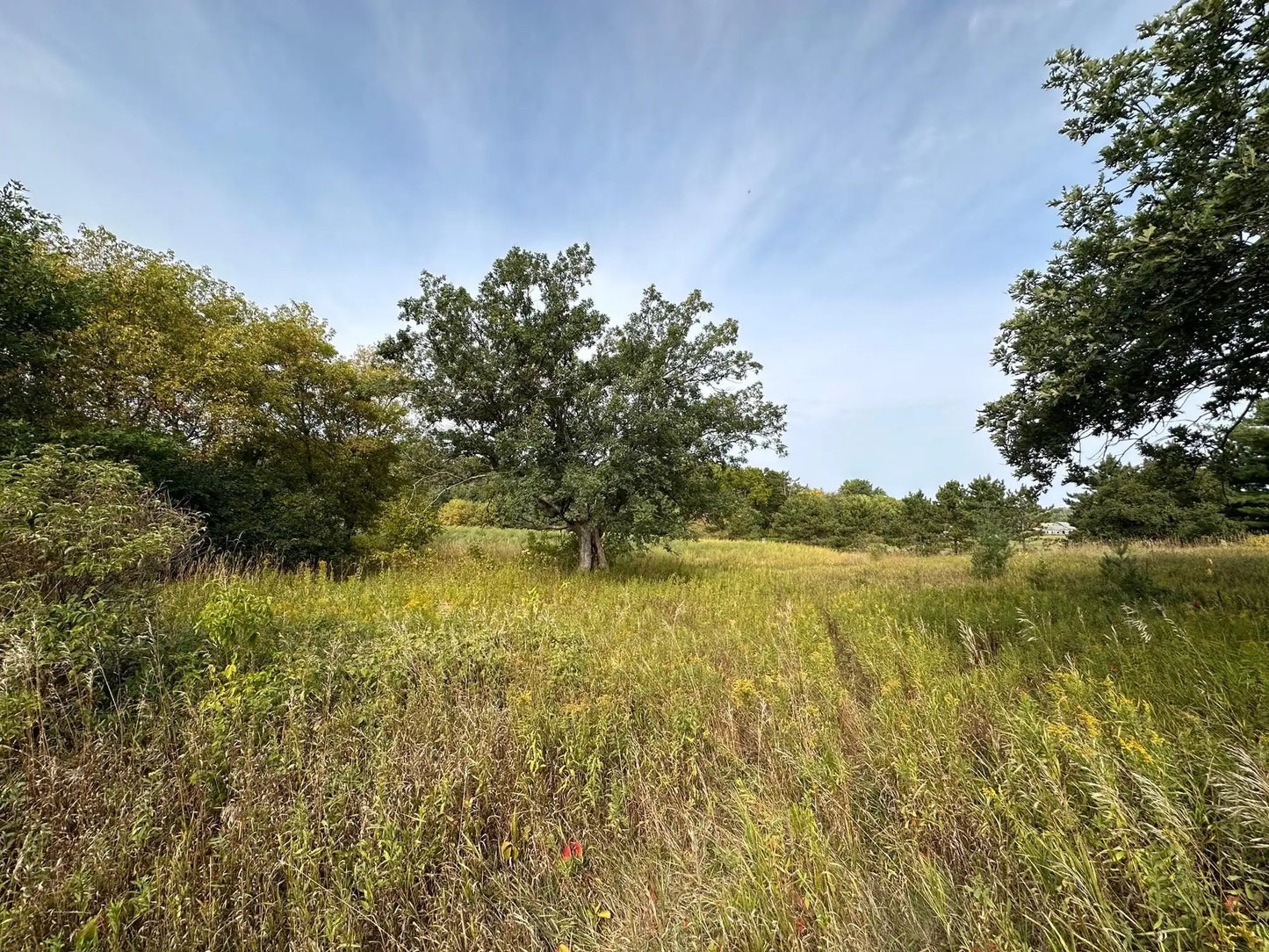 15XXX Oakhill Road, Scandia, MN 55073