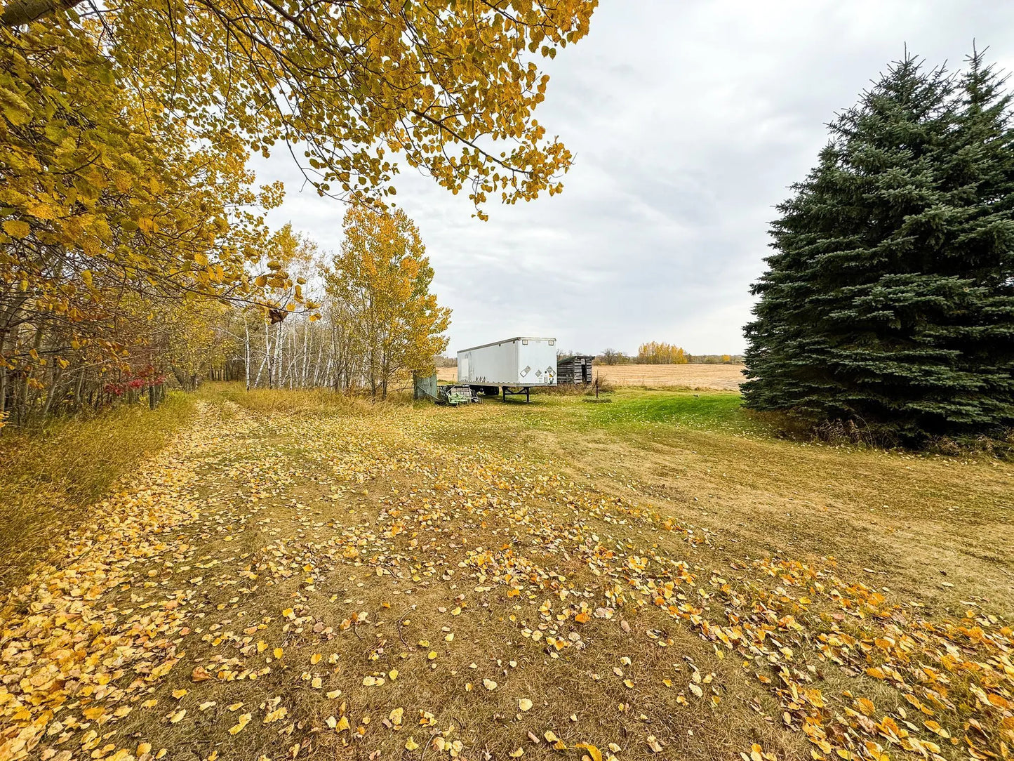 49XXX Leaf River Road, Ottertail, MN 56571