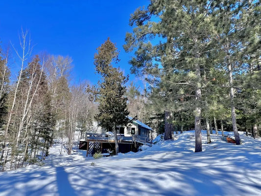 4090 North Arm W (Elbow Lake) , Beatty Twp, MN 55723