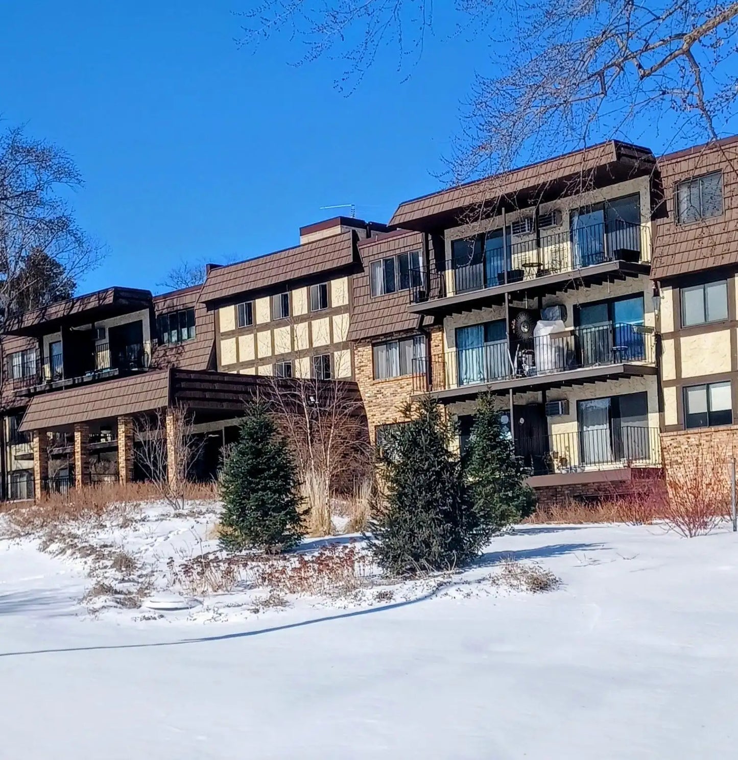 205 Barry Avenue, Wayzata, MN 55391